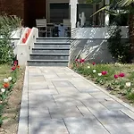 Silvia Olivetti 4*