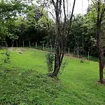 Bed & Breakfast Silvia Olivetti