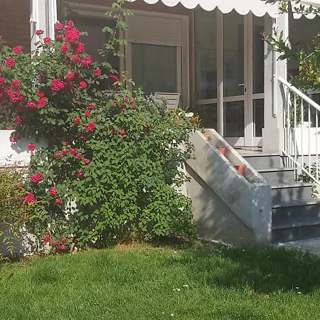Bed & Breakfast Silvia Olivetti 4*