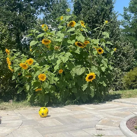 Oda ve Kahvaltı Silvia Olivetti