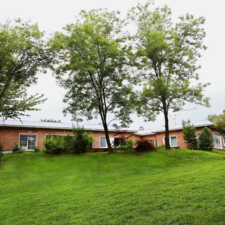 Silvia Olivetti Oda ve Kahvaltı