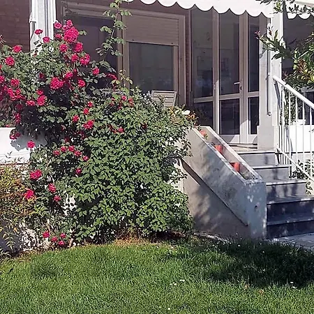 Silvia Olivetti Bed & Breakfast